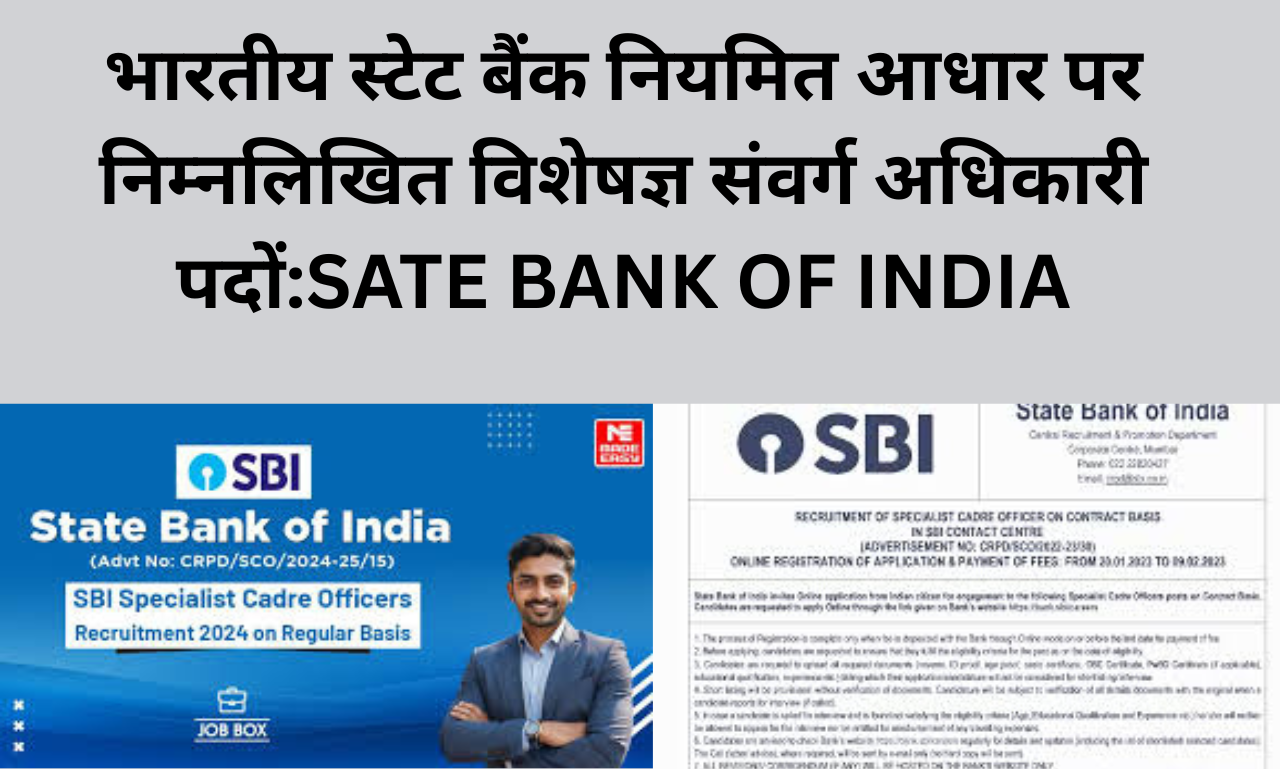 भारतीय स्टेट बैंक नियमित आधार पर निम्नलिखित विशेषज्ञ संवर्ग अधिकारी पदों:SATE BANK OF INDIA